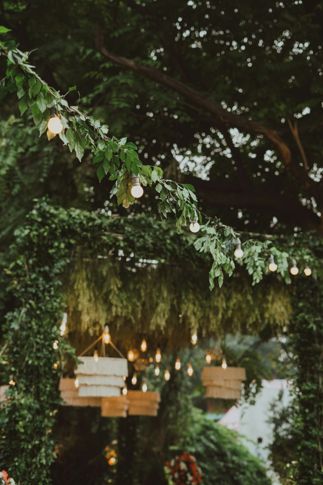 Illustrative image: Garden lit with hanging lights